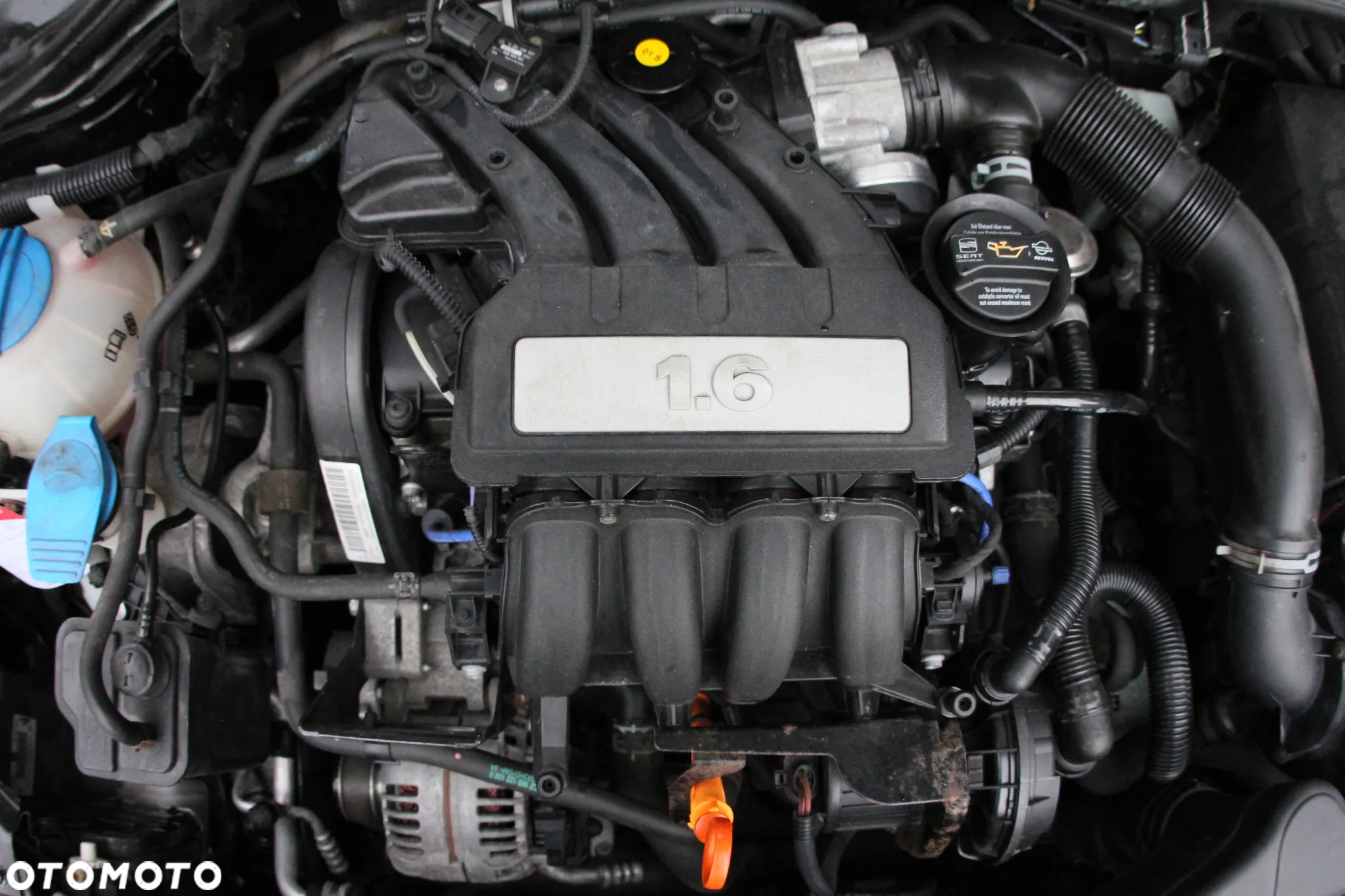Seat Leon - 38
