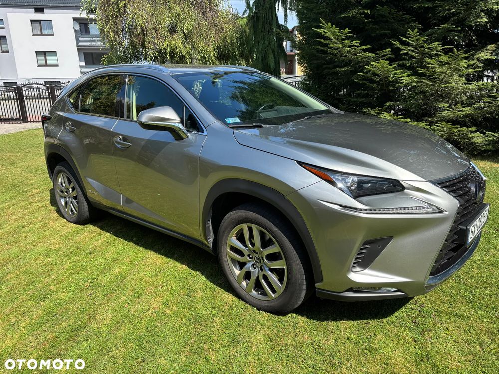 Lexus NX 300h Elegance Optimum AWD - 2