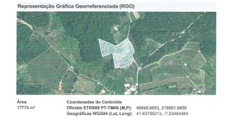 Terreno de 17.770 m2 com pomar e floresta - Grande imagem: 2/2