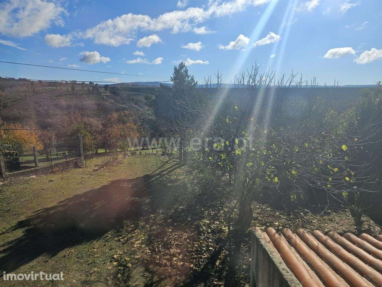 Quintinha T3 / Sabugal, Sabugal e Aldeia de Santo António - Grande imagem: 5/8