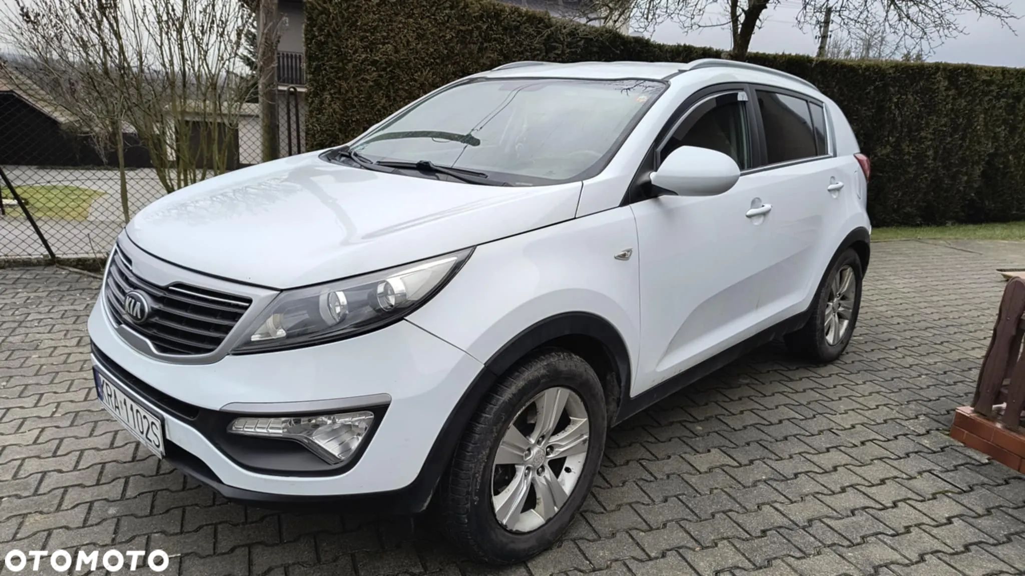 Kia Sportage - 1