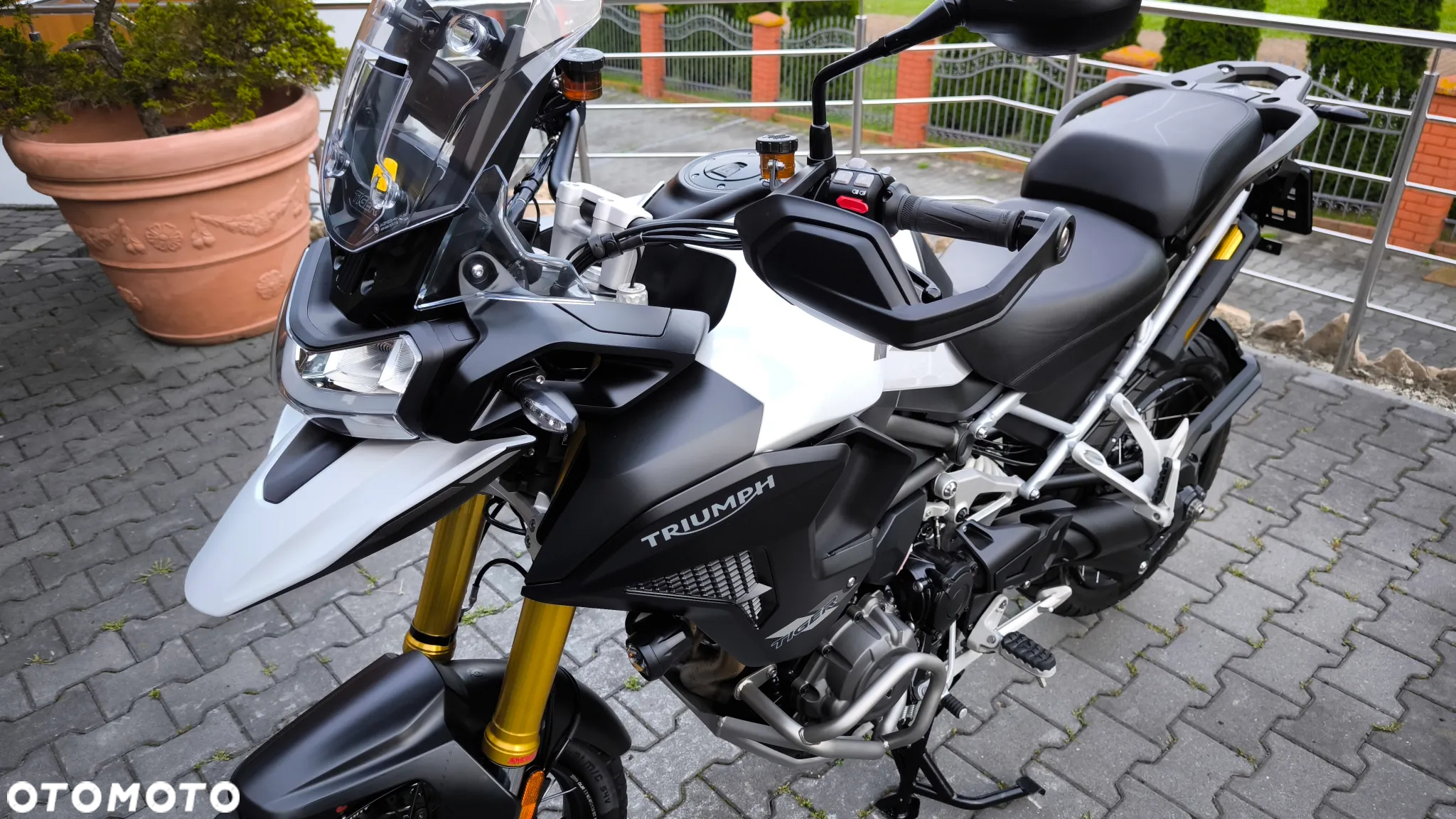 Triumph Tiger - 12