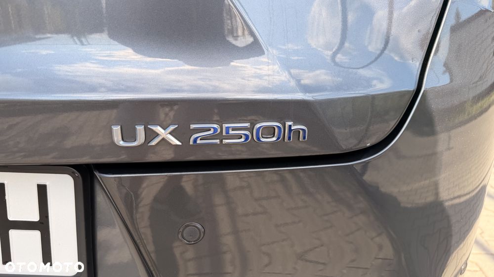 Lexus UX 250h GPF F Impression 2WD - 9