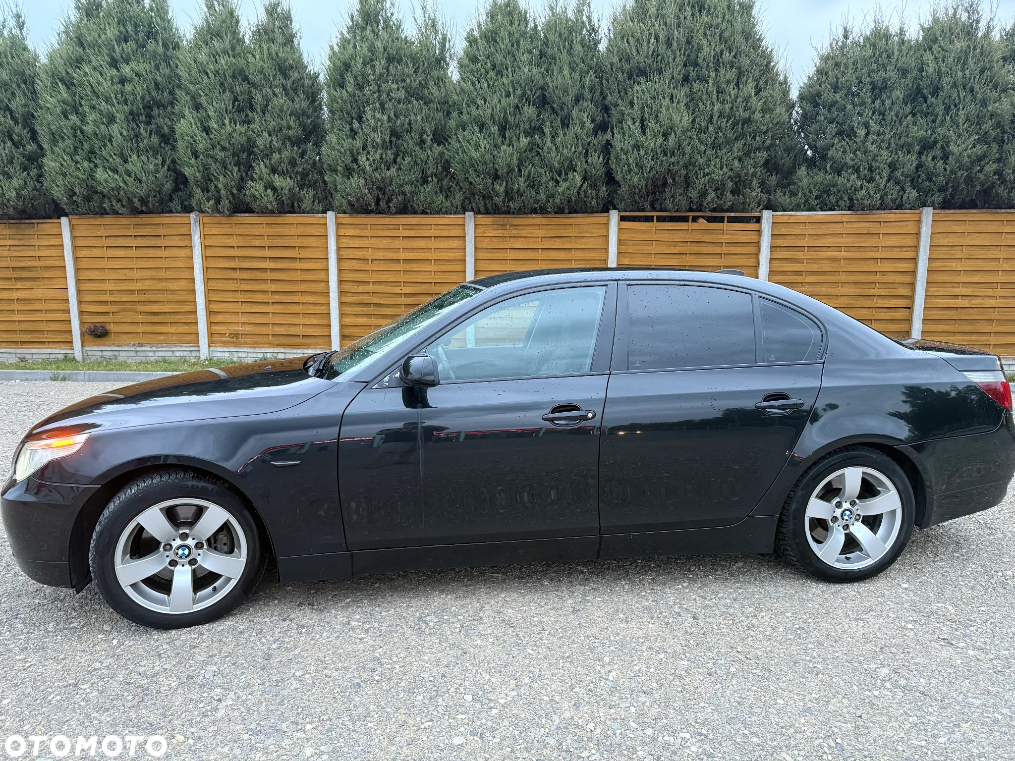 BMW Seria 5 530i - 2