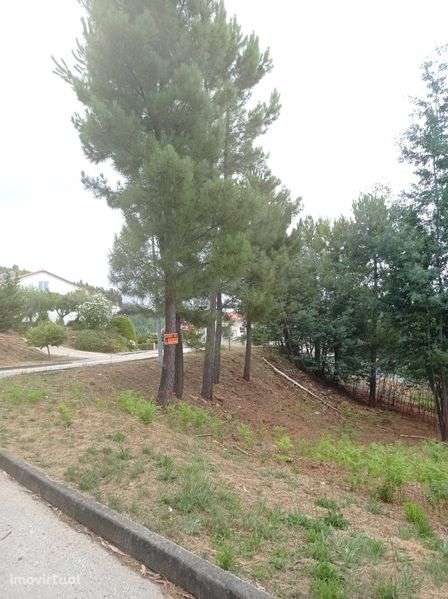 Terreno Urbano no Centro de Castanheira de Pera - Grande imagem: 3/7