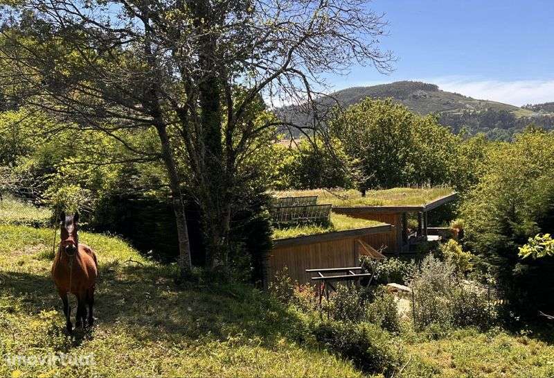 ZEN # Casa do Brezo , Paredes de Coura - Grande imagem: 4/12