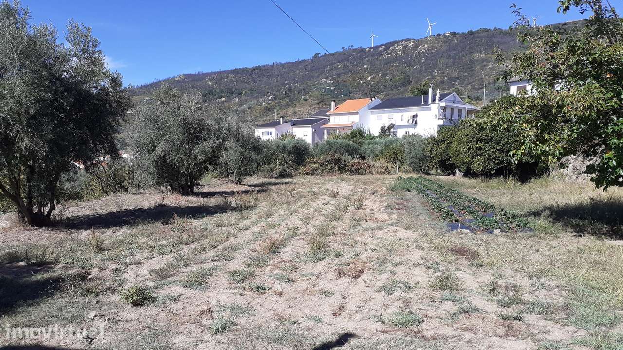 Terreno  Venda em Gonçalo,Guarda - Grande imagem: 2/9