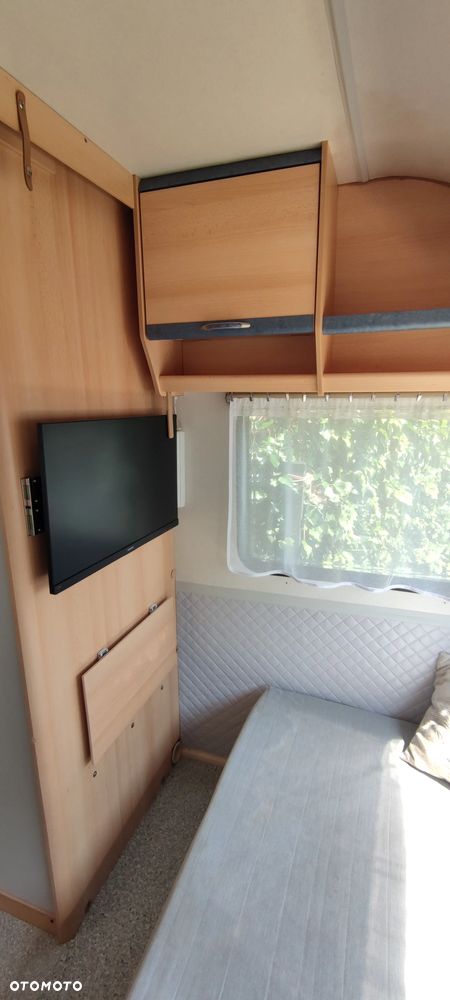 Wilk Sport - 19