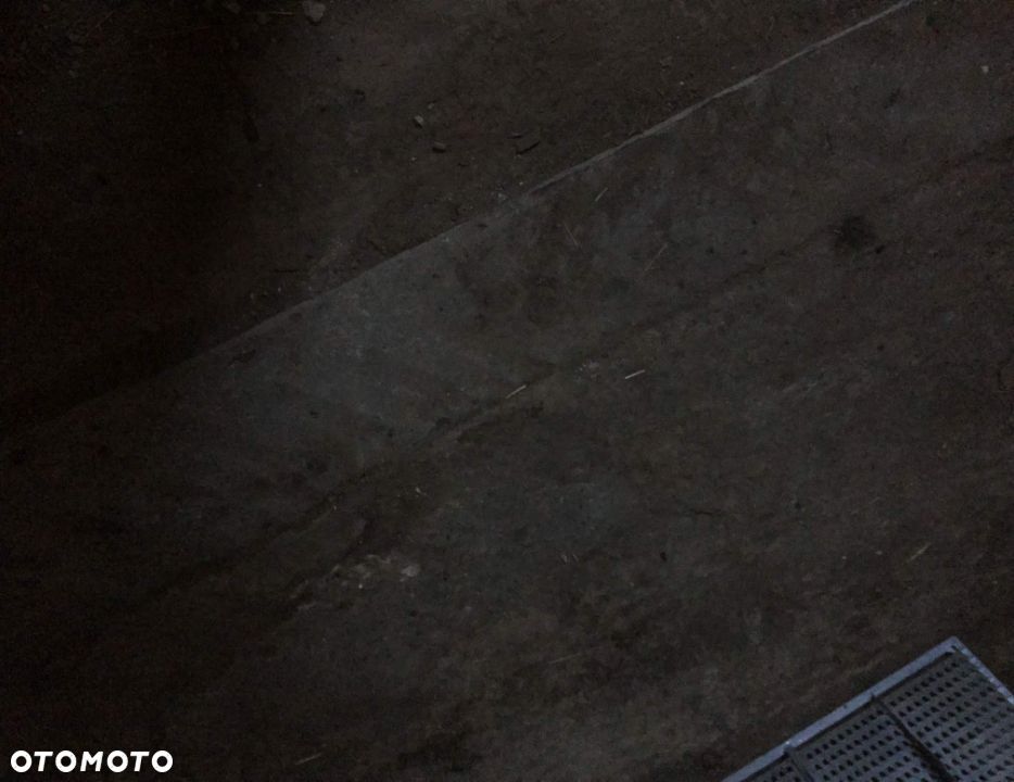 Claas Dominator 204 - SITA - 82 x 130 cm - 6