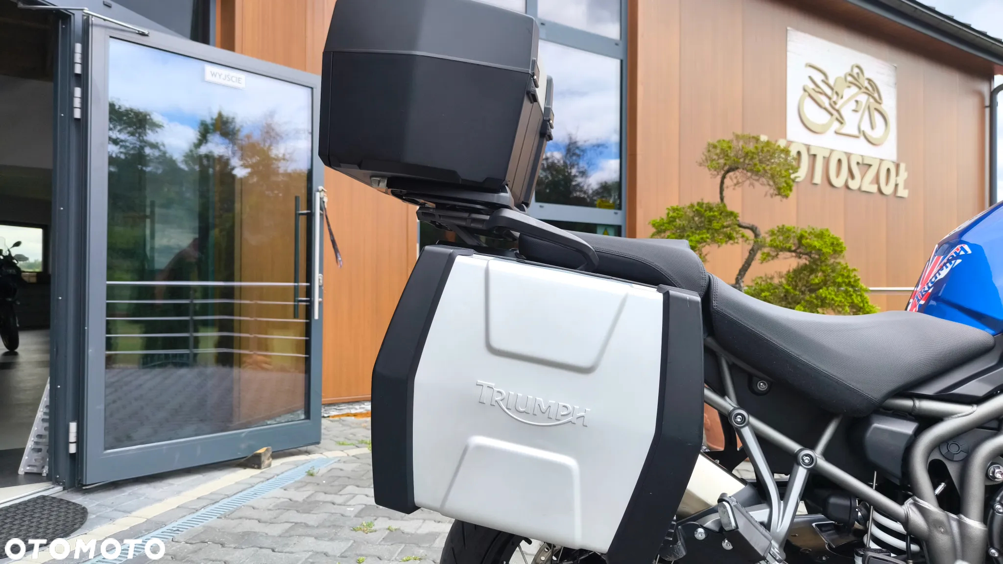 Triumph Tiger - 31