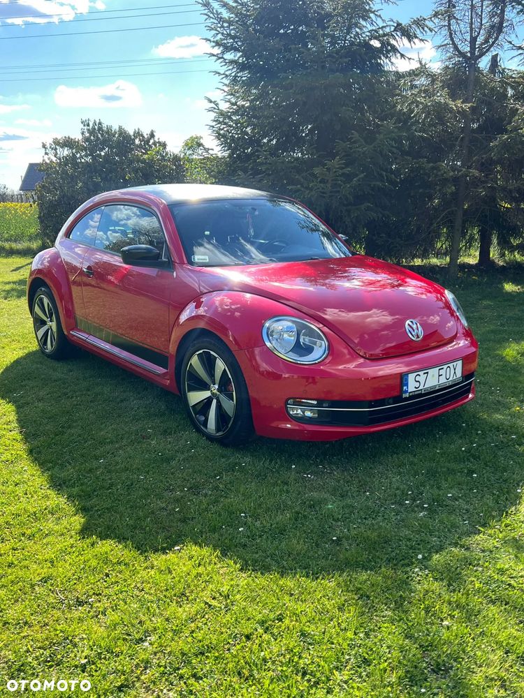 Volkswagen Beetle - 4