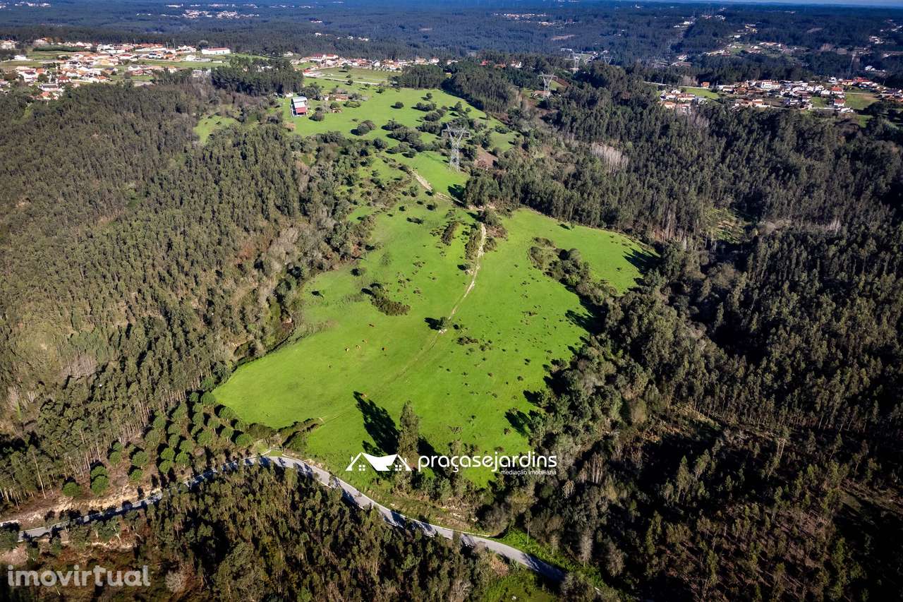 Magnifica Quinta em Zona Tranquila - Grande imagem: 3/40