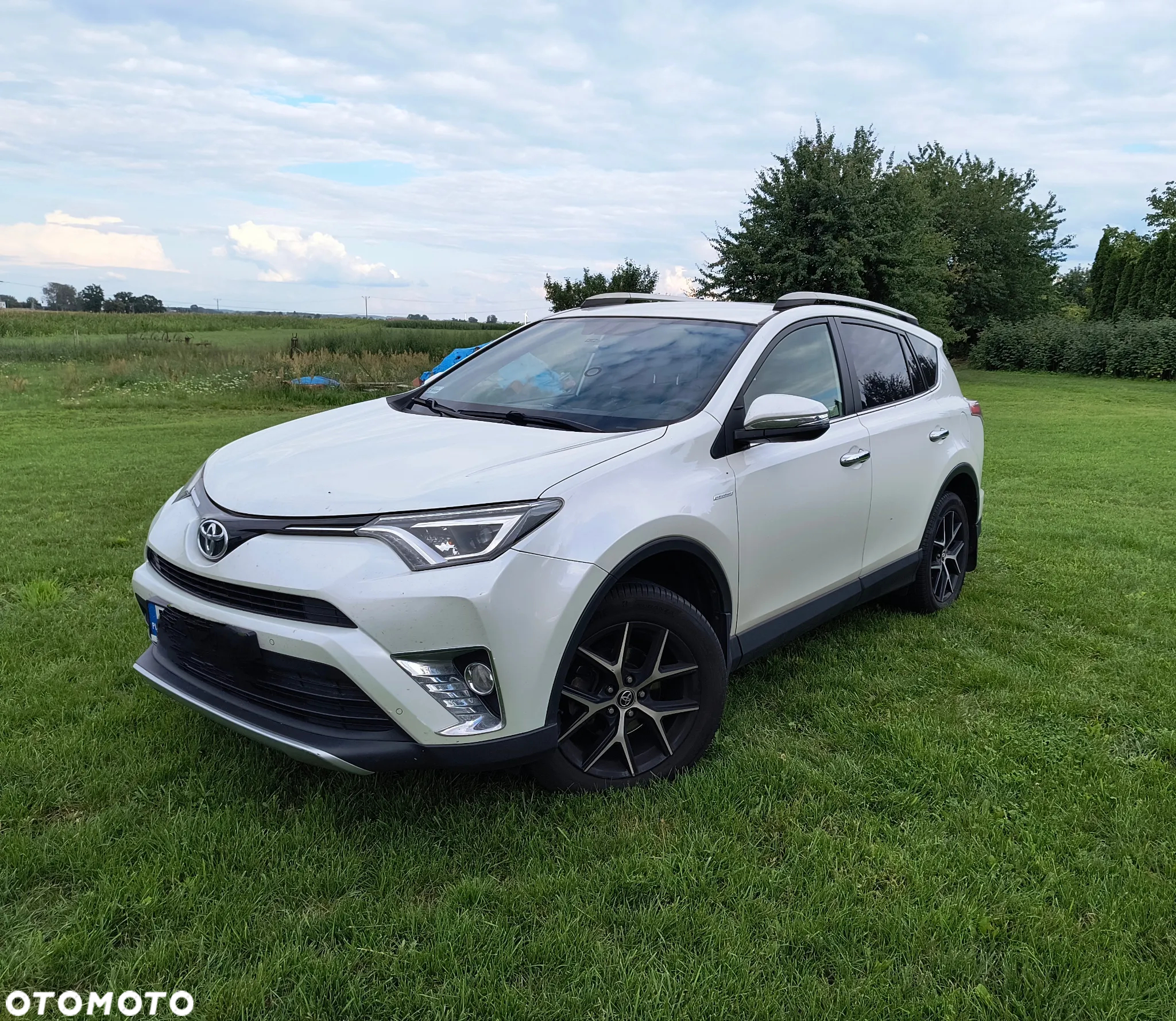 Toyota RAV4 2.0 Prestige MS - 10
