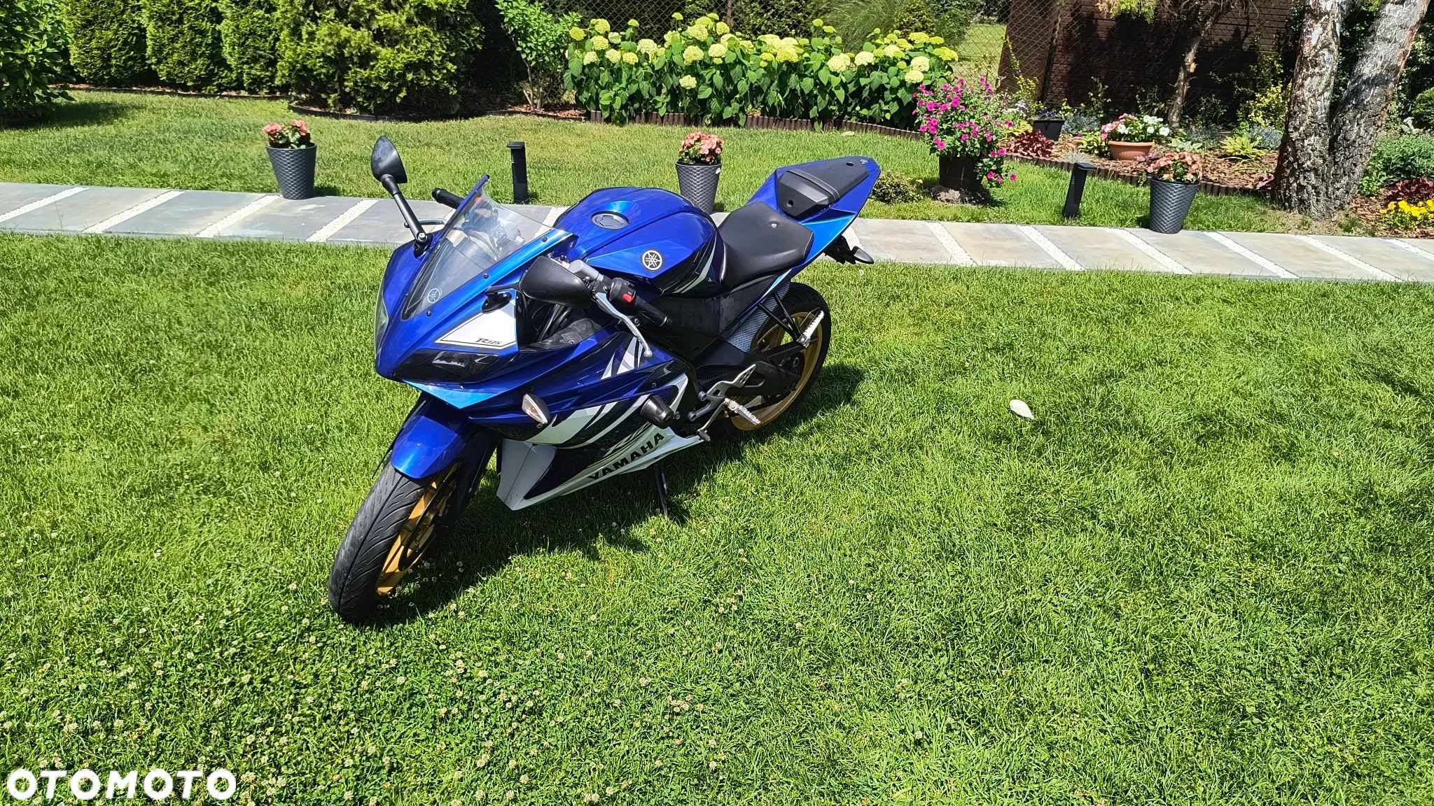 Yamaha YZF - 1