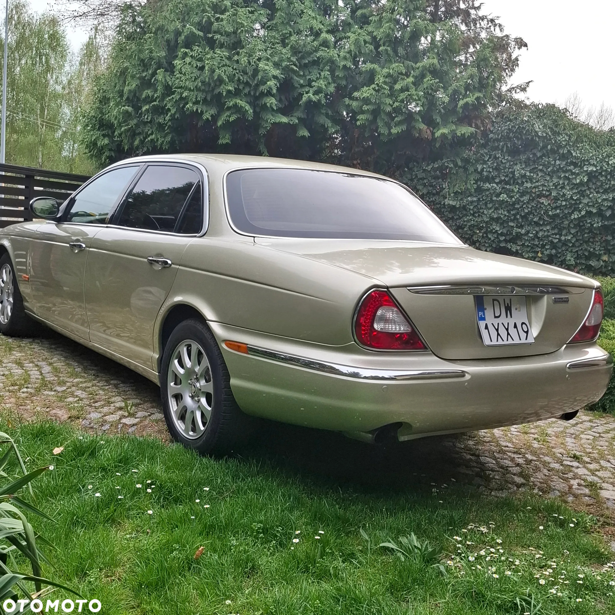 Jaguar XJ XJ8 4.2 LWB High - 12
