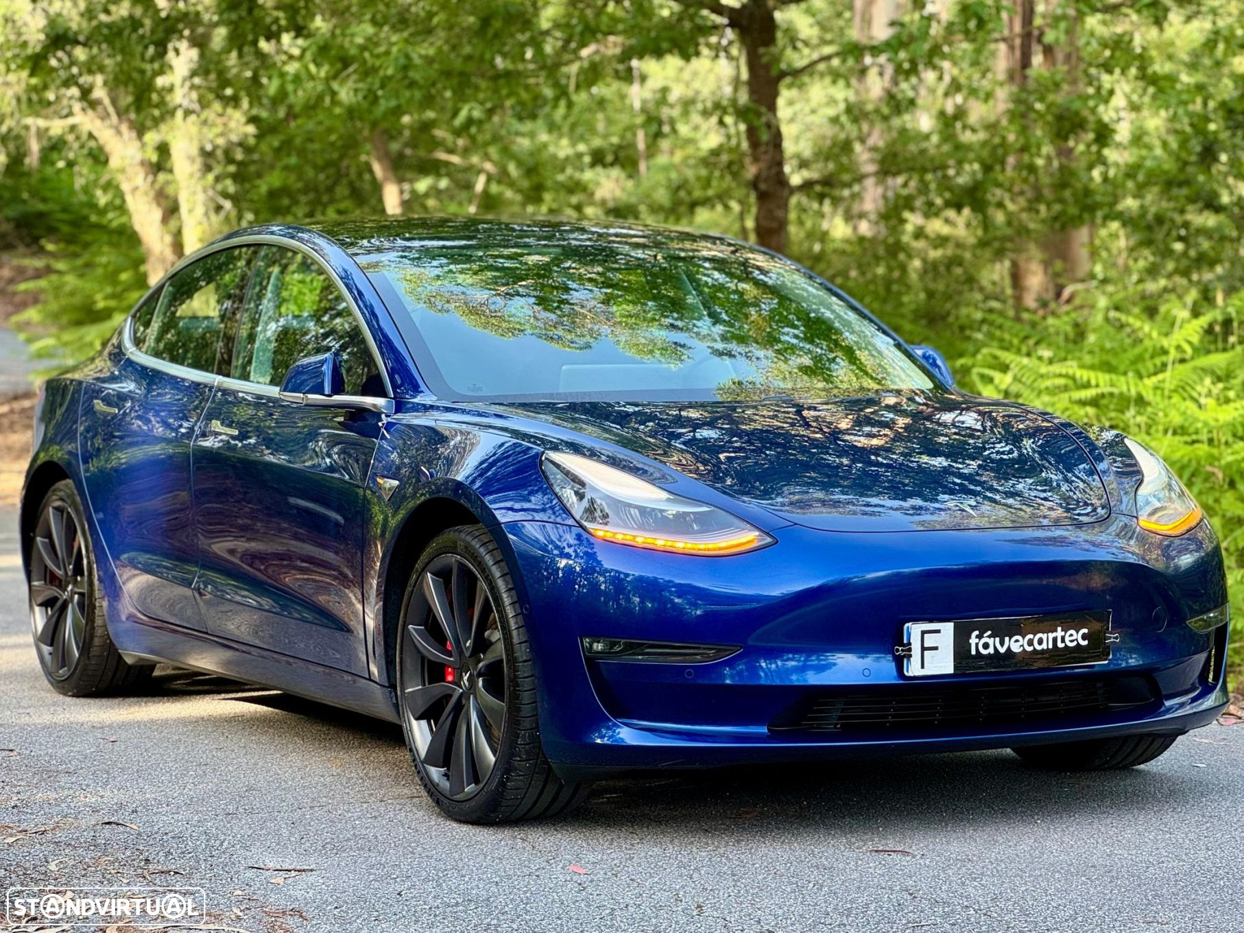 Tesla Model 3 Performance Dual Motor AWD - 29