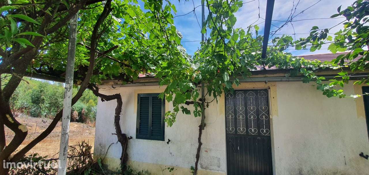 Casa para restaurar no Carvoeiro, Mação - Grande imagem: 3/43