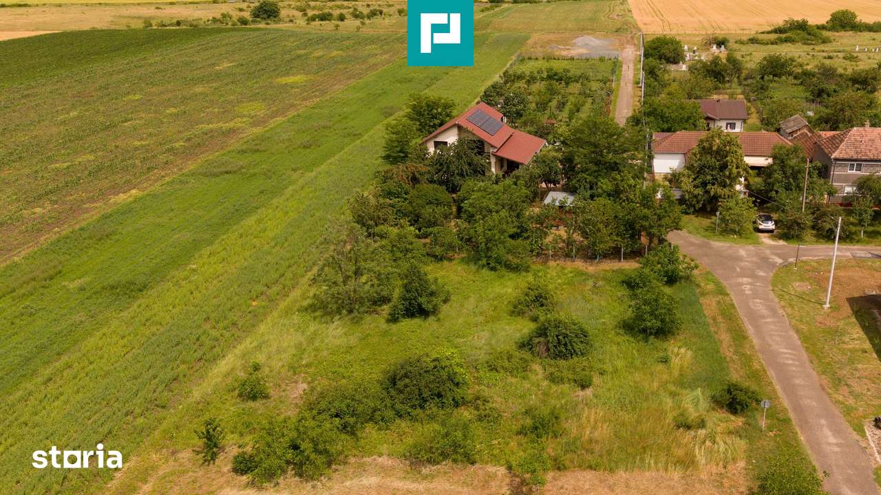 Teren intravilan de 602mp în Cicir, Vladimirescu - Imagine principală: 2/20