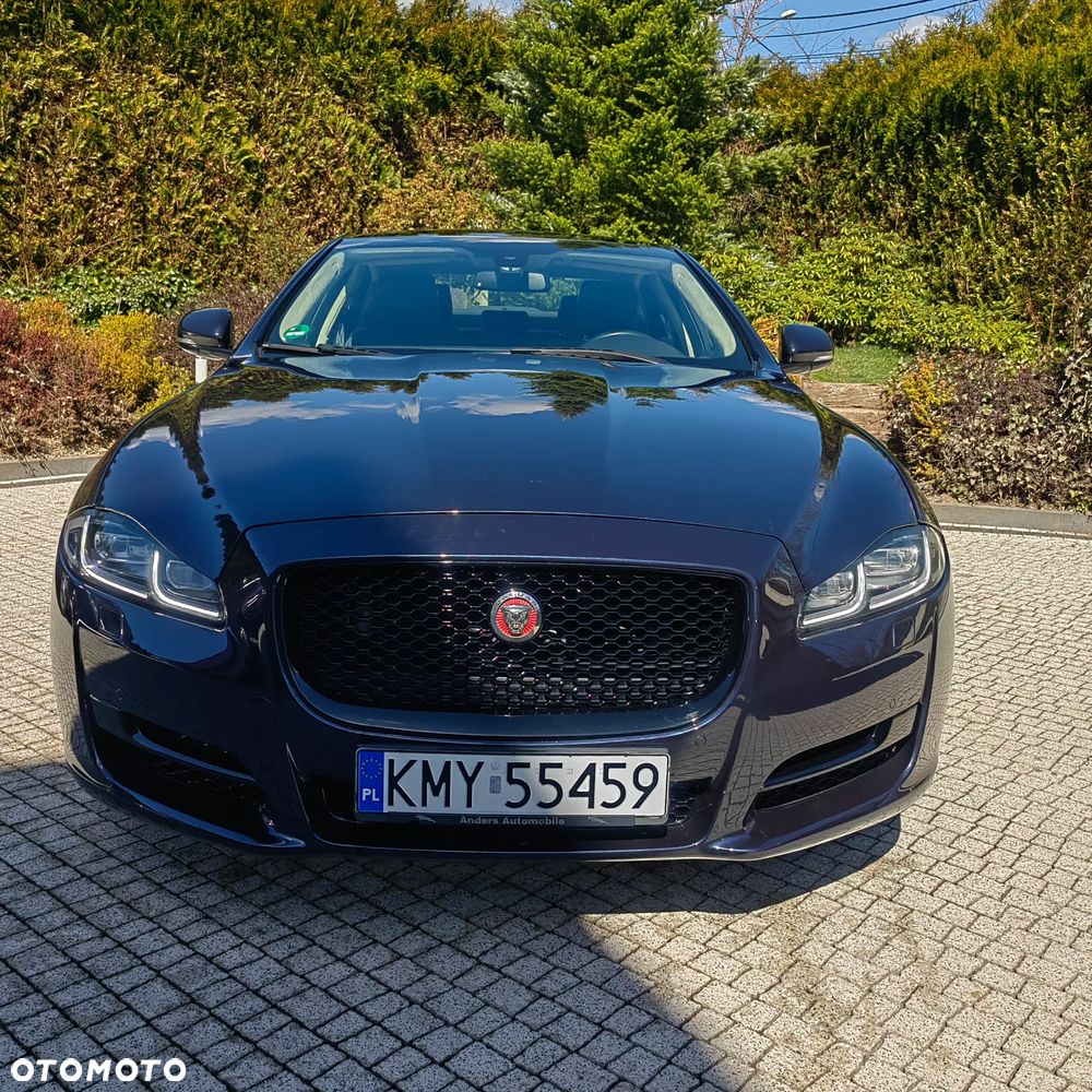 Jaguar XJ 3.0 D V6 Premium Luxury - 8