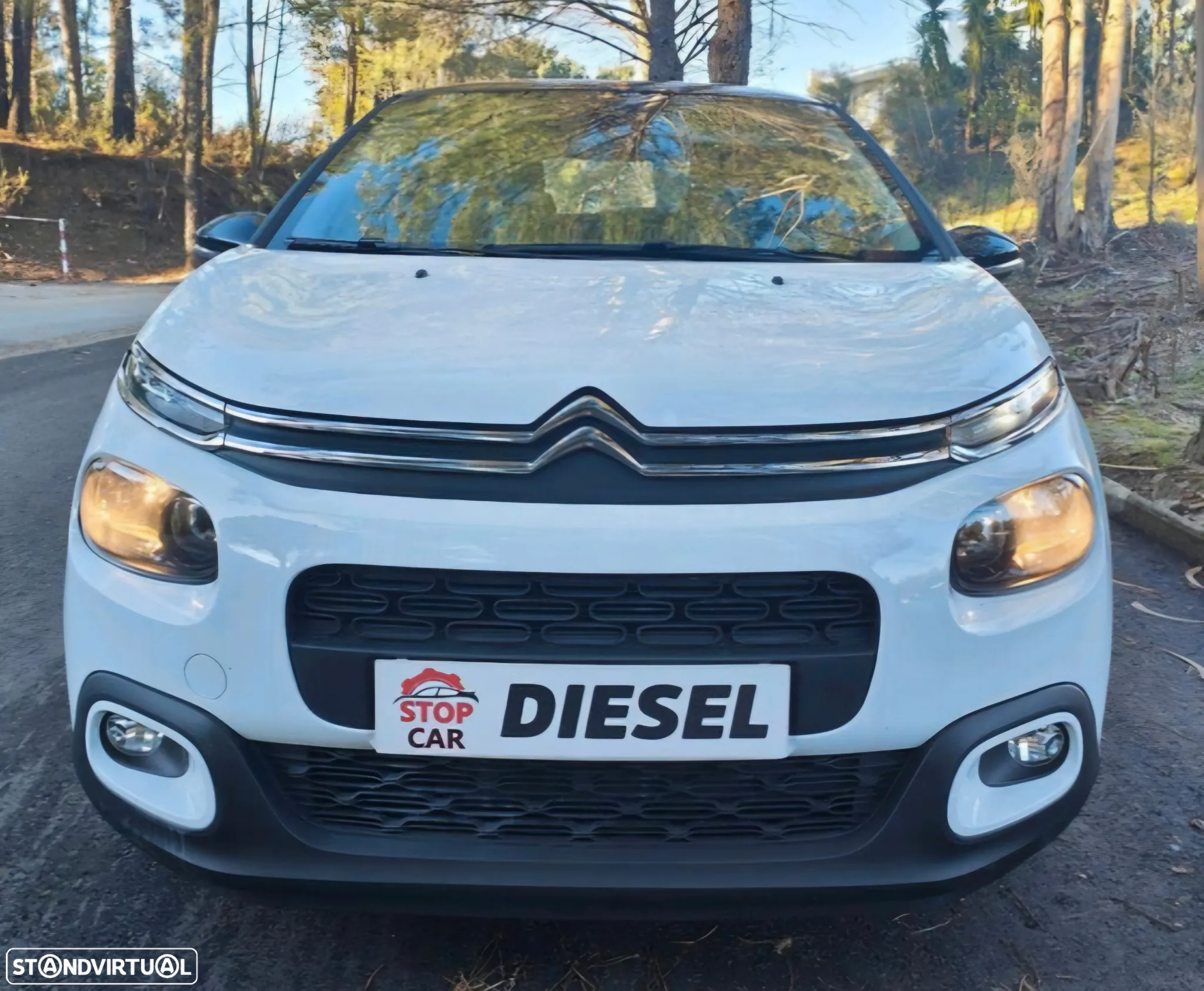 Citroën C3 1.5 BlueHDi Feel Business - 3