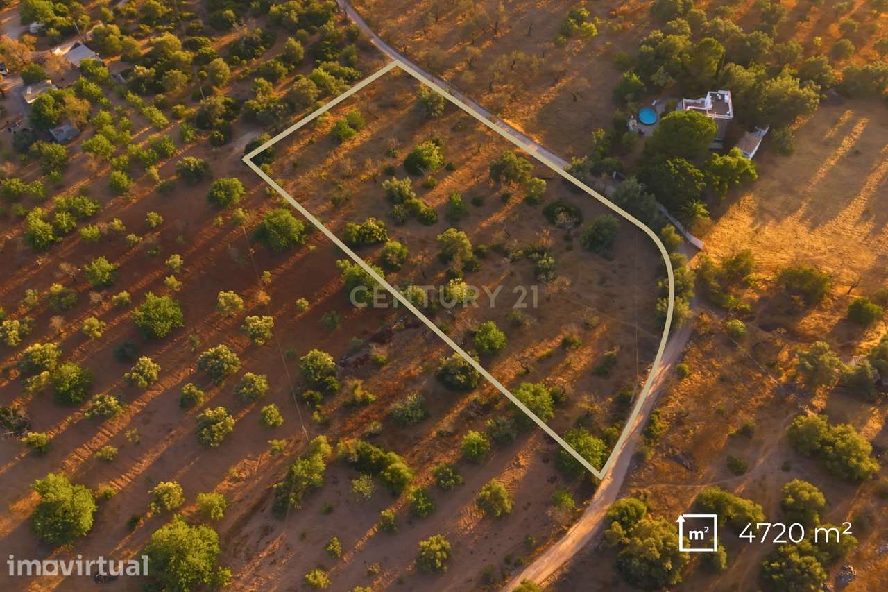 ✅ Terreno Rústico com 4.720 m² – Acessos Excelentes e Potencial Extrao - Grande imagem: 5/8