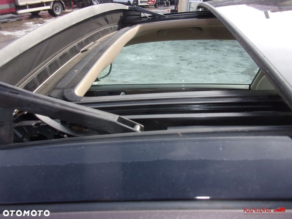 Volkswagen Beetle - 14