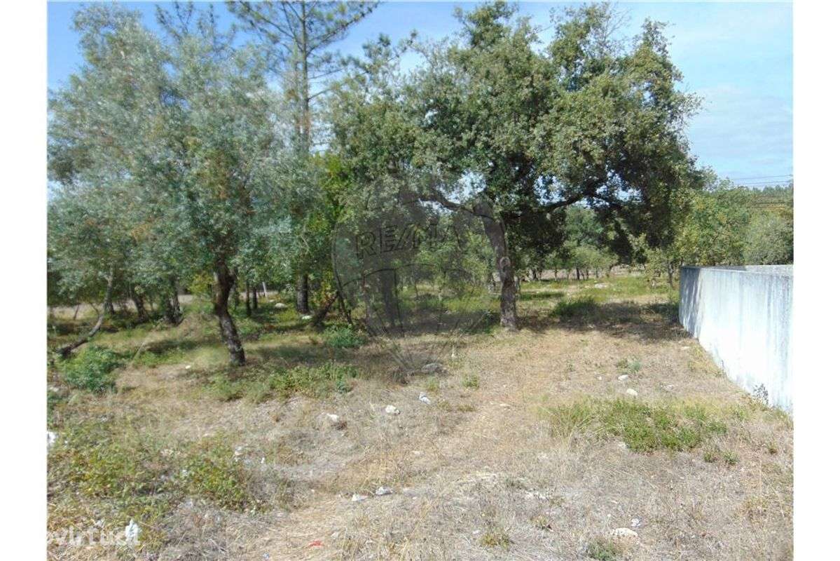 Terreno T0 para venda - Grande imagem: 3/3