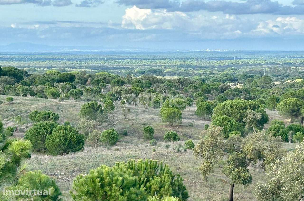 Terreno Rústico com 18 Hectares - Grande imagem: 2/22