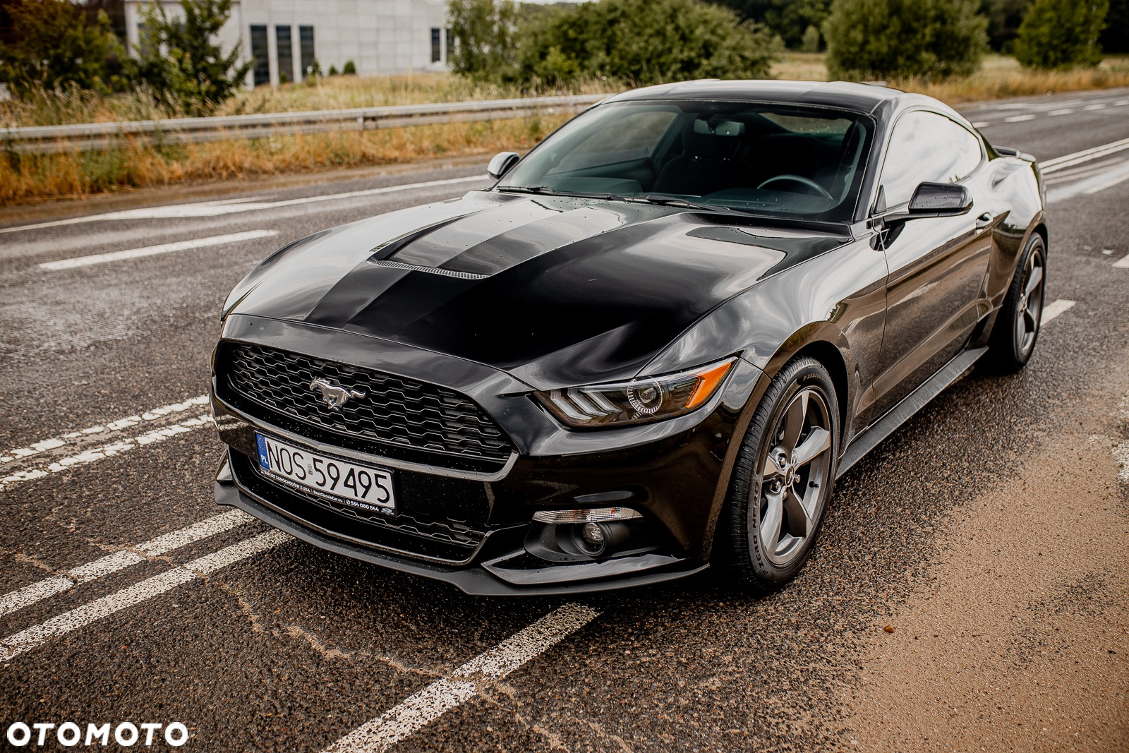 Ford Mustang 2.3 EcoBoost - 17