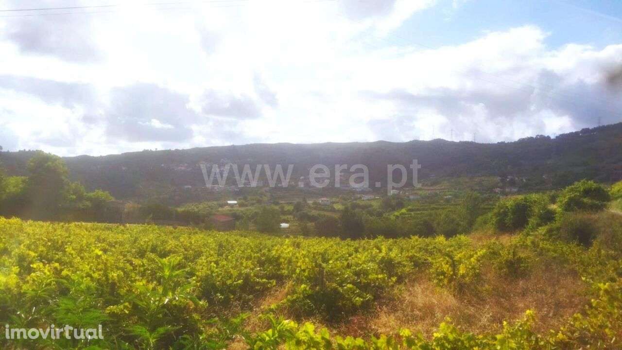 Terreno / Baião, Gove - Grande imagem: 4/5