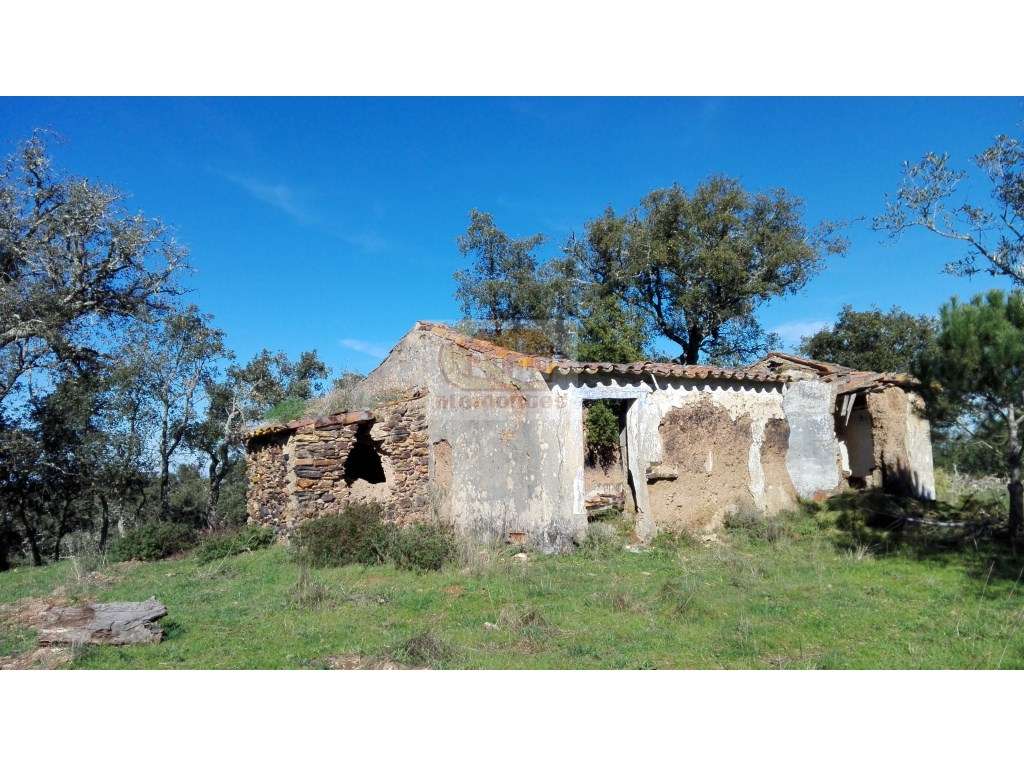 PROJECTO APROVADO para HOTEL RURAL - Terreno com 12 hectares e ruín... - Grande imagem: 4/18