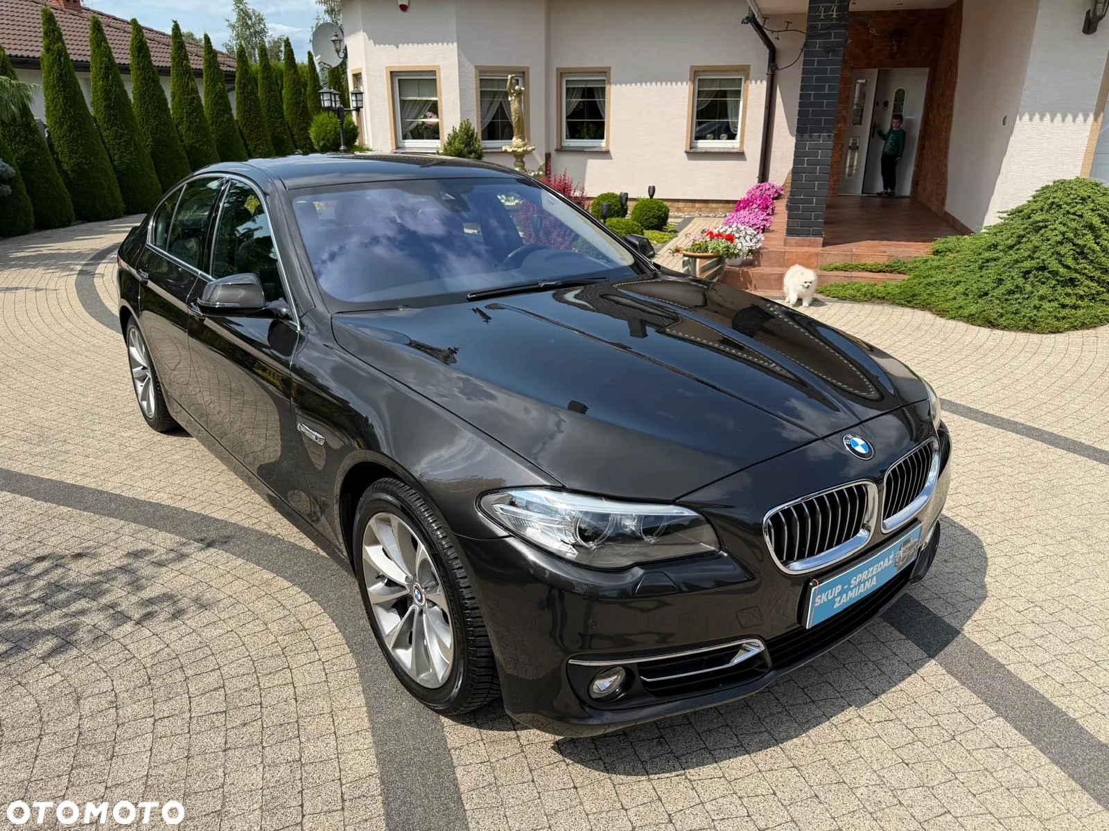 BMW Seria 5 525d Sport-Aut Luxury Line - 32