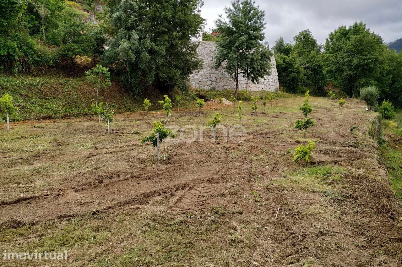 Moradias para restauro+ Terreno - Grande imagem: 5/20