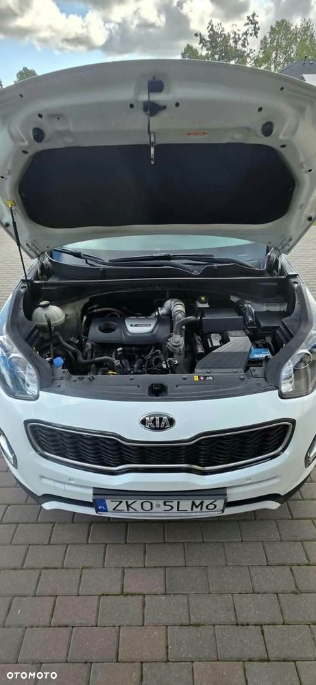 Kia Sportage - 7