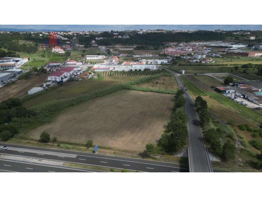 Terreno em Zona Urbanizável próximo da cidade das Caldas da Rainha - Grande imagem: 5/17