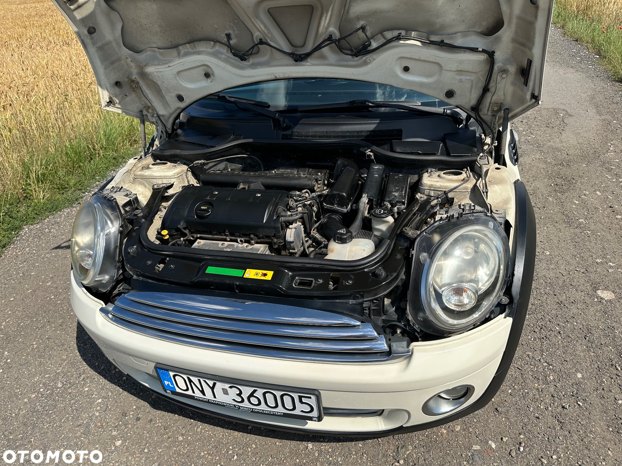 MINI ONE Standard - 13