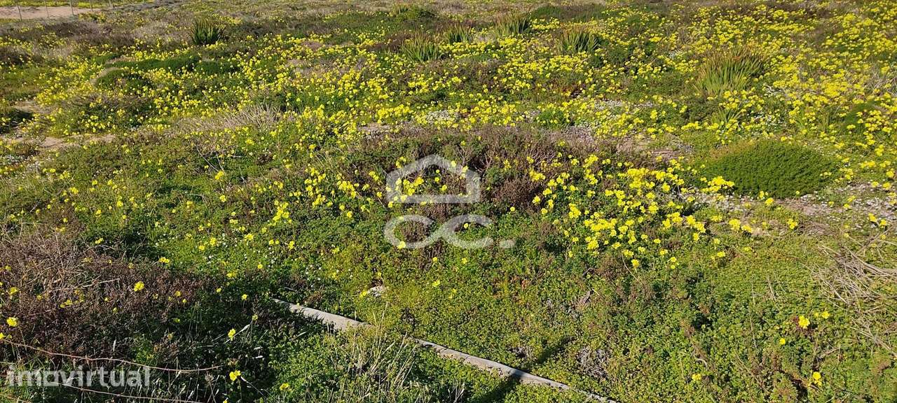 Terreno para construção moradias - Grande imagem: 2/12