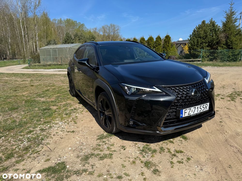 Lexus UX 200 GPF Business 2WD - 2