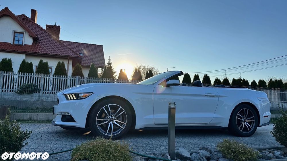 Ford Mustang - 1