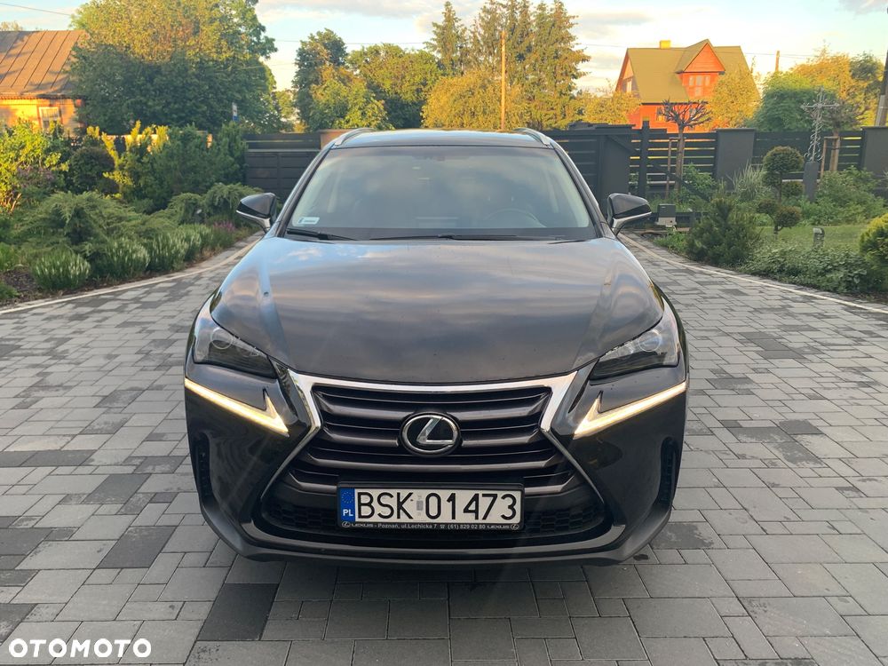 Lexus NX 200t Prestige AWD - 2