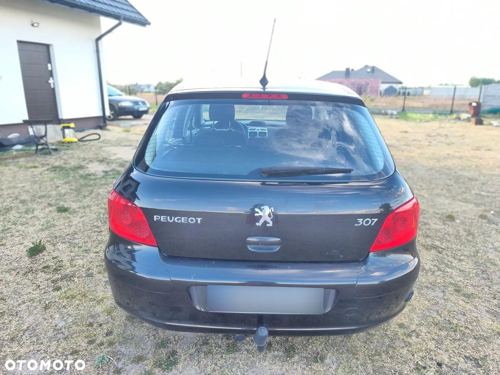 Peugeot 307 1.6 - 10