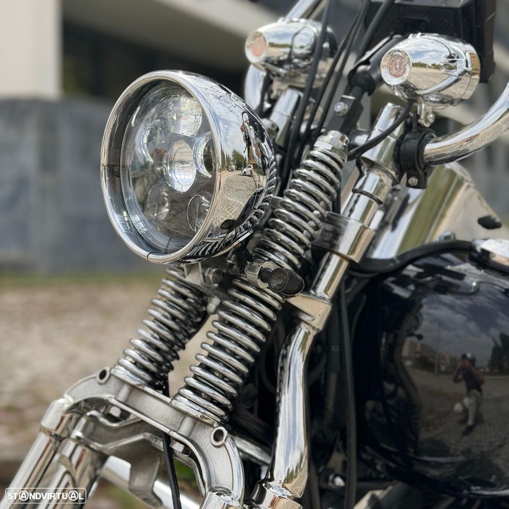 Harley-Davidson Heritage HERITAGE CLASSIC SPRINGER - 8