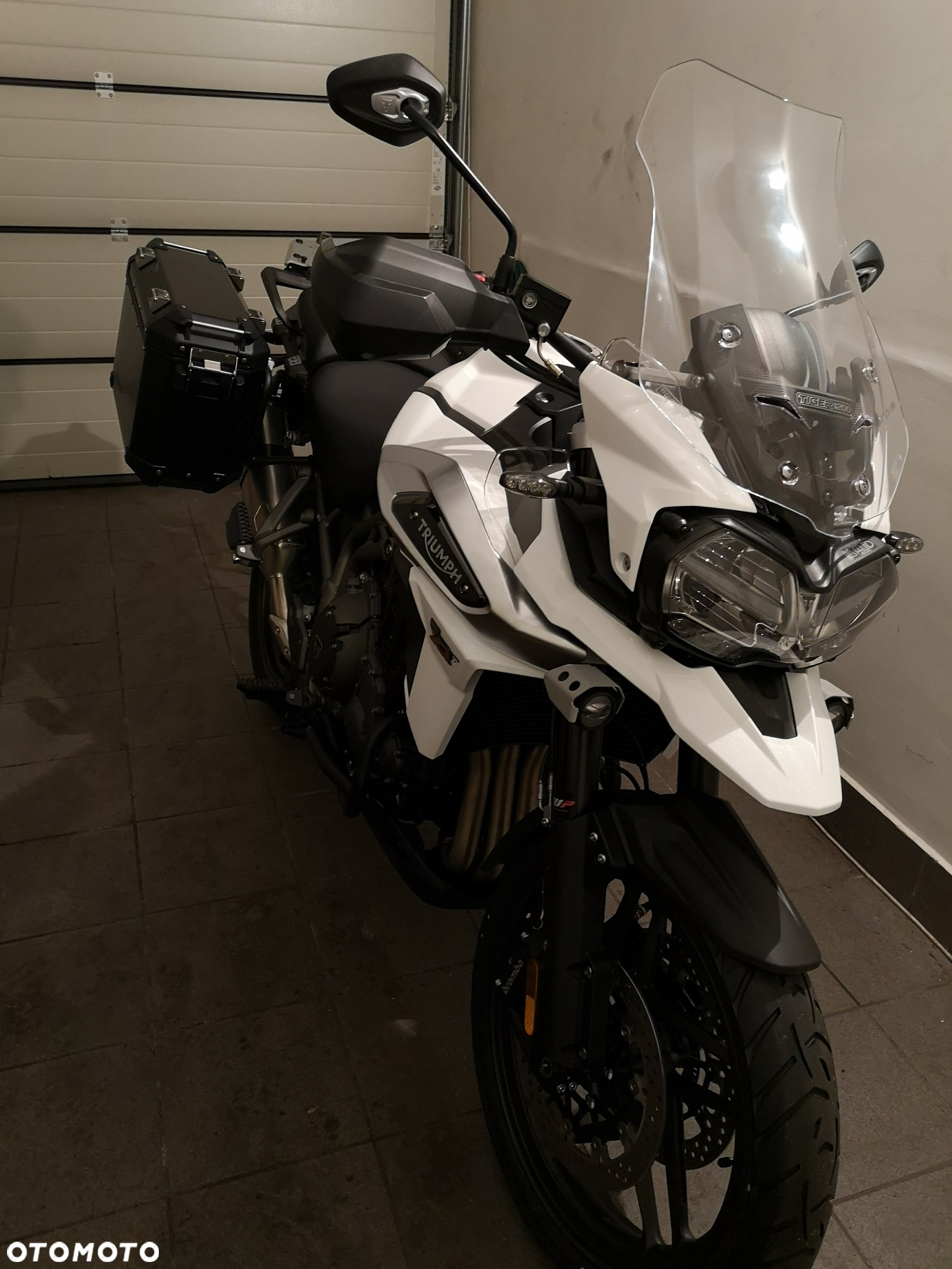 Triumph Tiger
