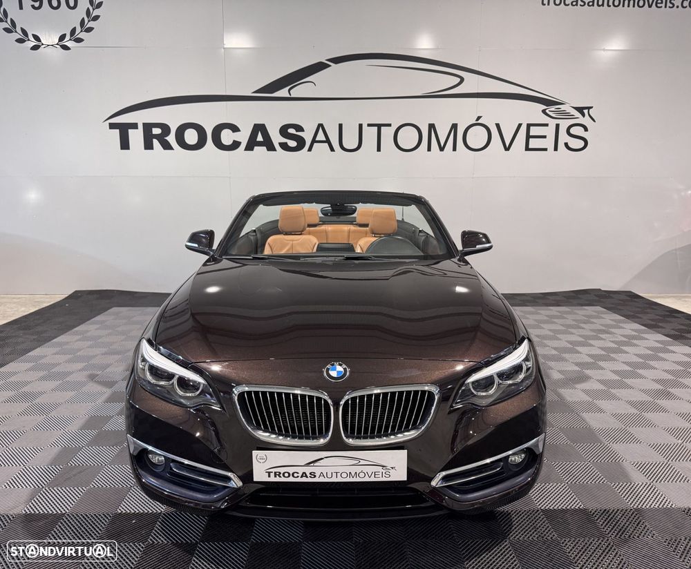 BMW 218 i Cabrio Line Luxury Auto - 5