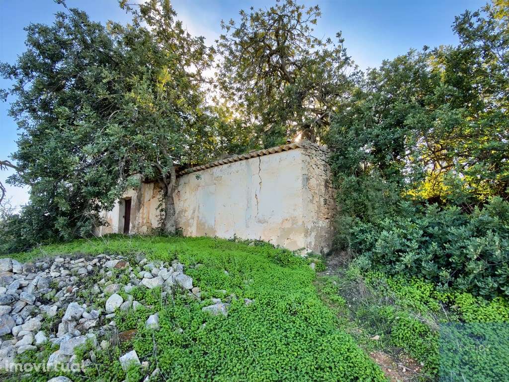 Magnífico Terreno com Ruína em Vale Pegas - Paderne - Grande imagem: 4/29