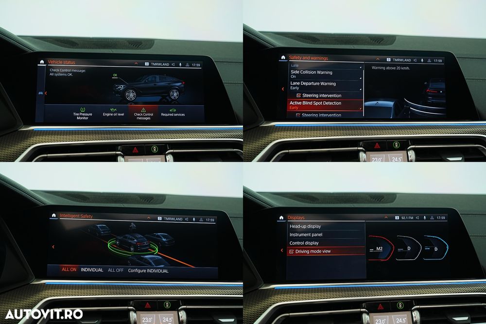 BMW X6 xDrive40i - 28