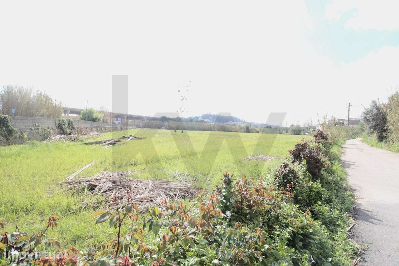 Lote Terreno Ribeira de Frades, 2430m2 - Grande imagem: 5/9