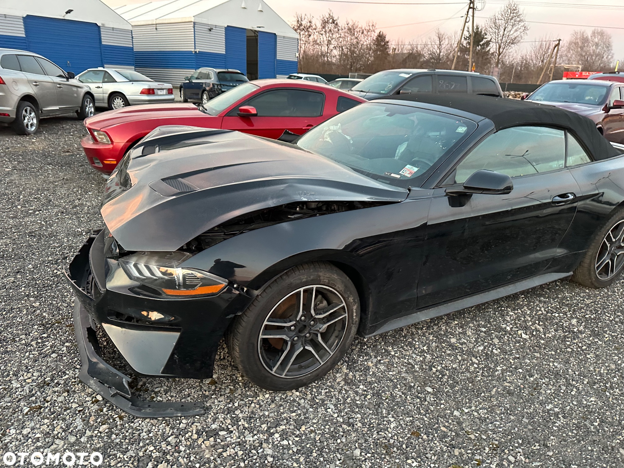 Ford Mustang Cabrio 2.3 Eco Boost - 6
