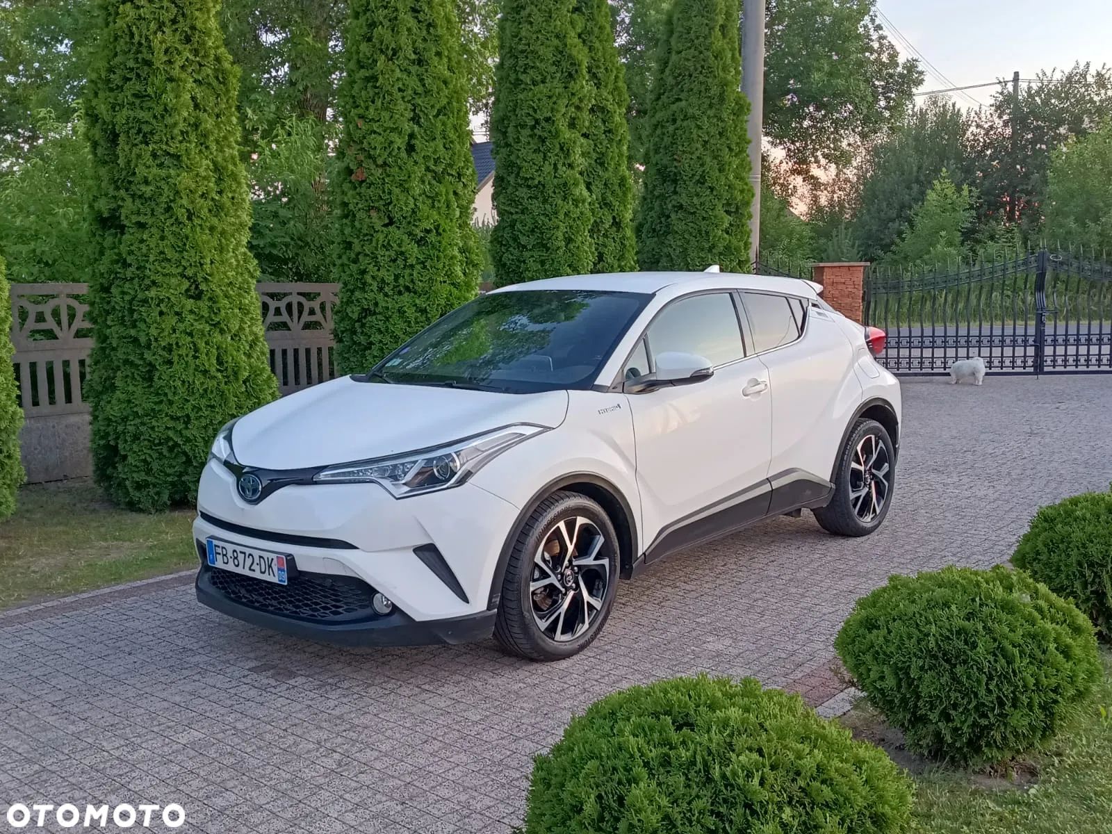 Toyota C-HR - 1
