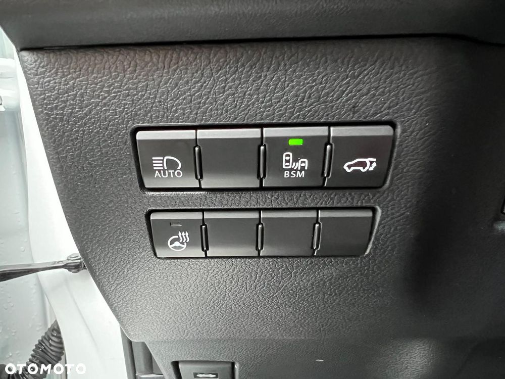 Lexus NX 300h F Sport Edition AWD - 18